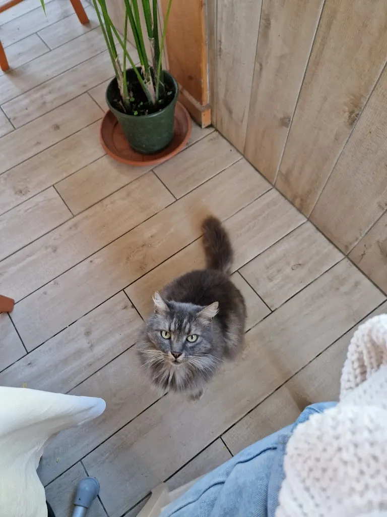 Stephanie O 'REILLY_La Forneria_Manciano_review