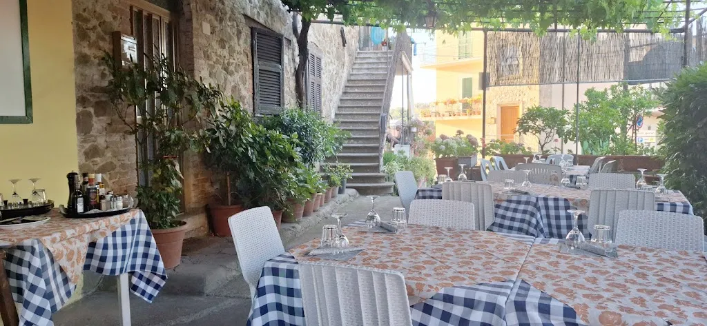 Frate leone_Manciano_slider_image_1