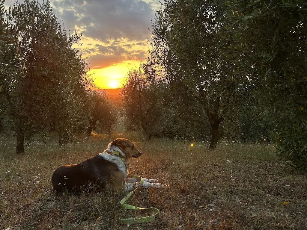 Melanie Marshall_Locanda All Andreas_Manciano_review