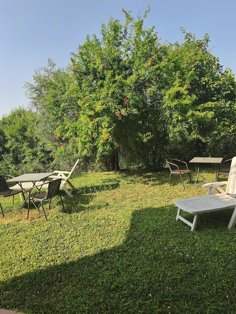 Alessia Tracanna_Agriturismo Norianino_Manciano_recensione