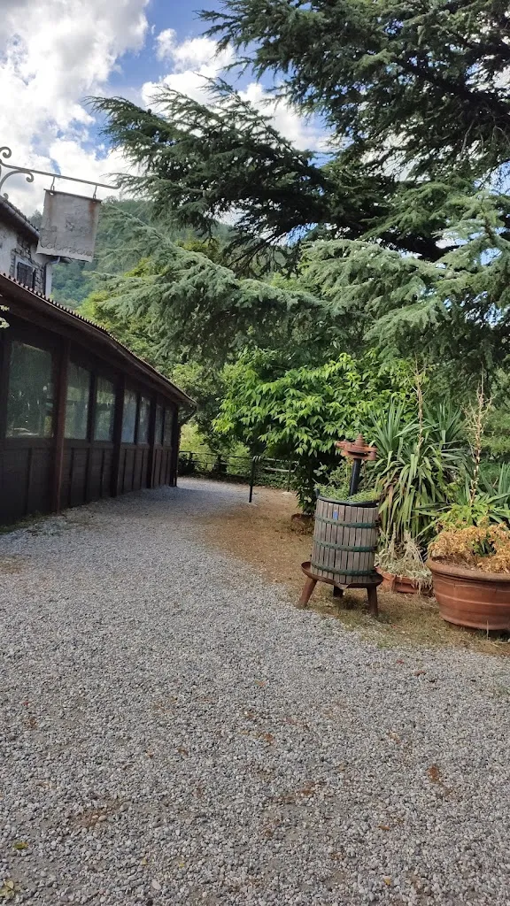 Mario Domenico Giacomoni_Ristorante La Colombaia_Marradi_review