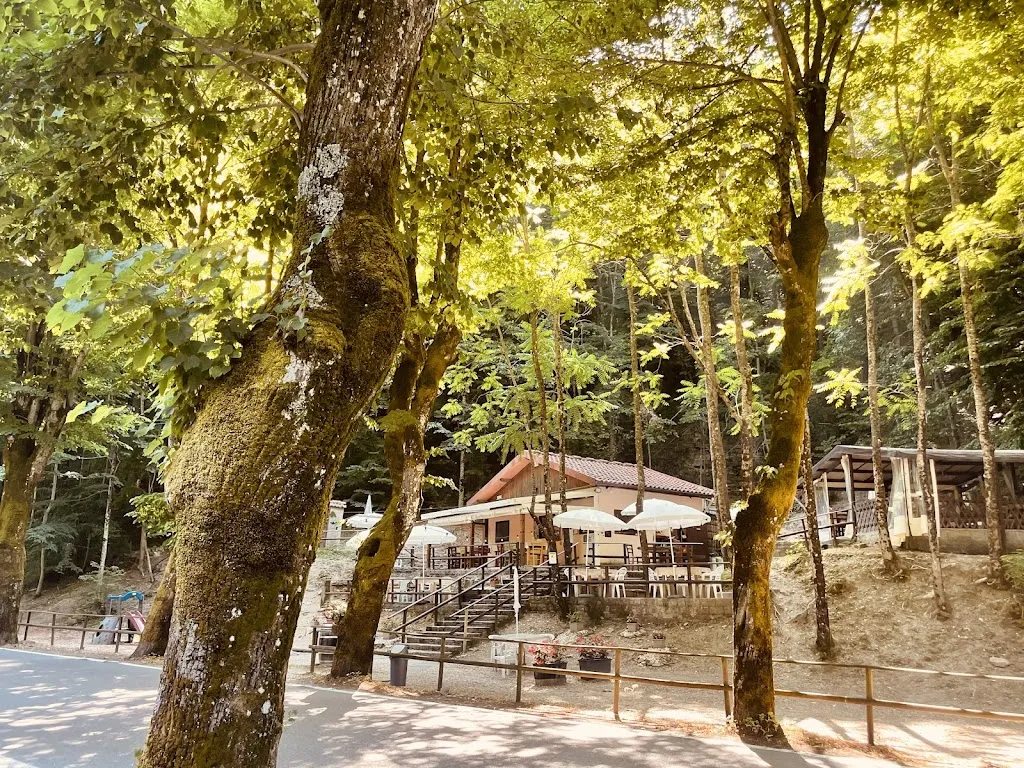 Ristorante Ristoro Pineta_Marradi_slider_image_3