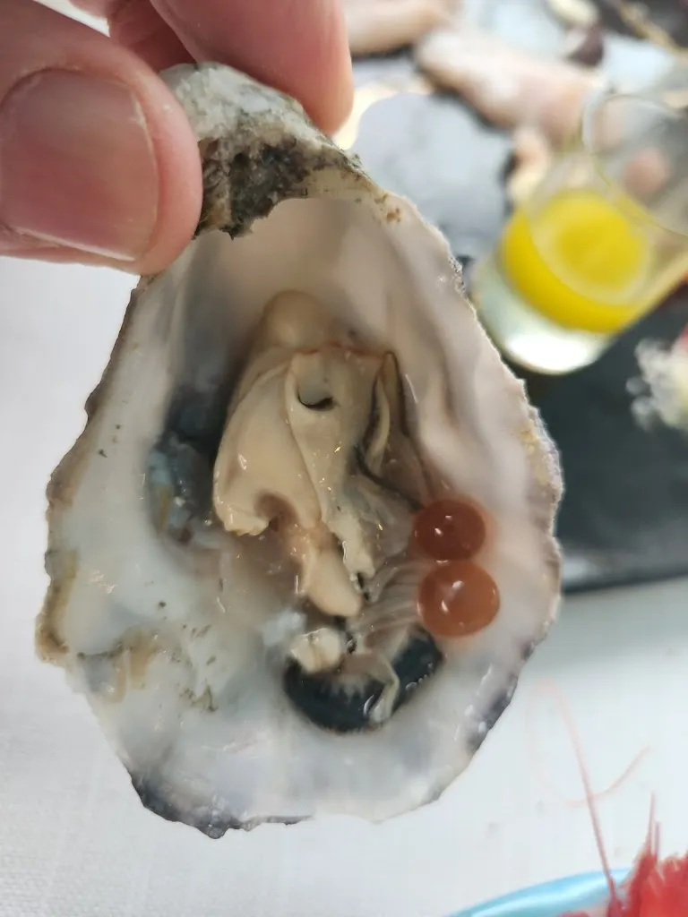 Azzam Malaeb_La Lisca_Marina di Massa_recensione