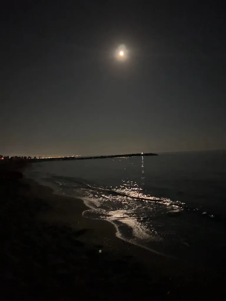 homa habibian_Ristorante Bagno Delfino_Marina di Massa_review