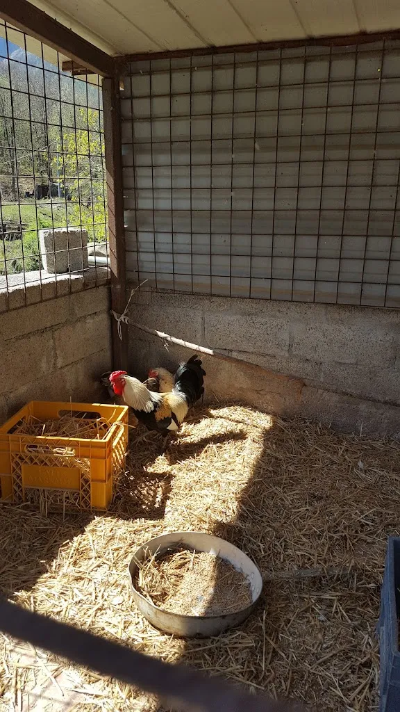 Menu_Agriturismo Da Pasquino_Minucciano_image_7