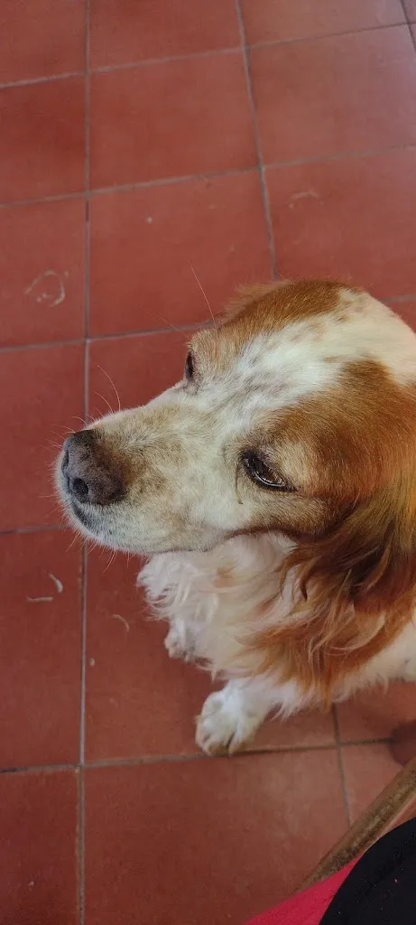 Sara DG_Agriturismo Da Pasquino_Minucciano_review