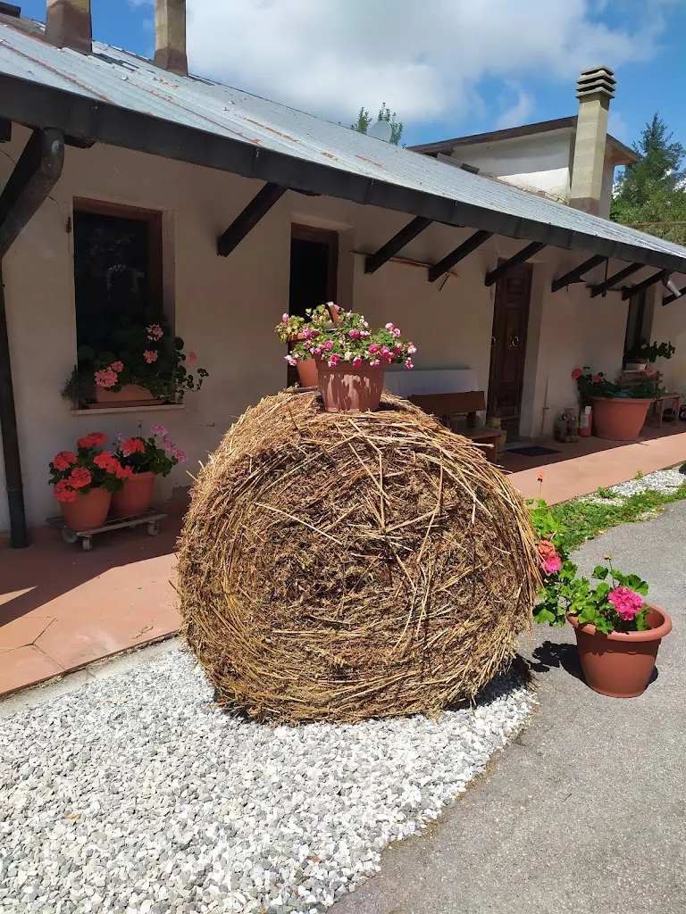 Daiana Pellegrini_Agriturismo Da Pasquino_Minucciano_review