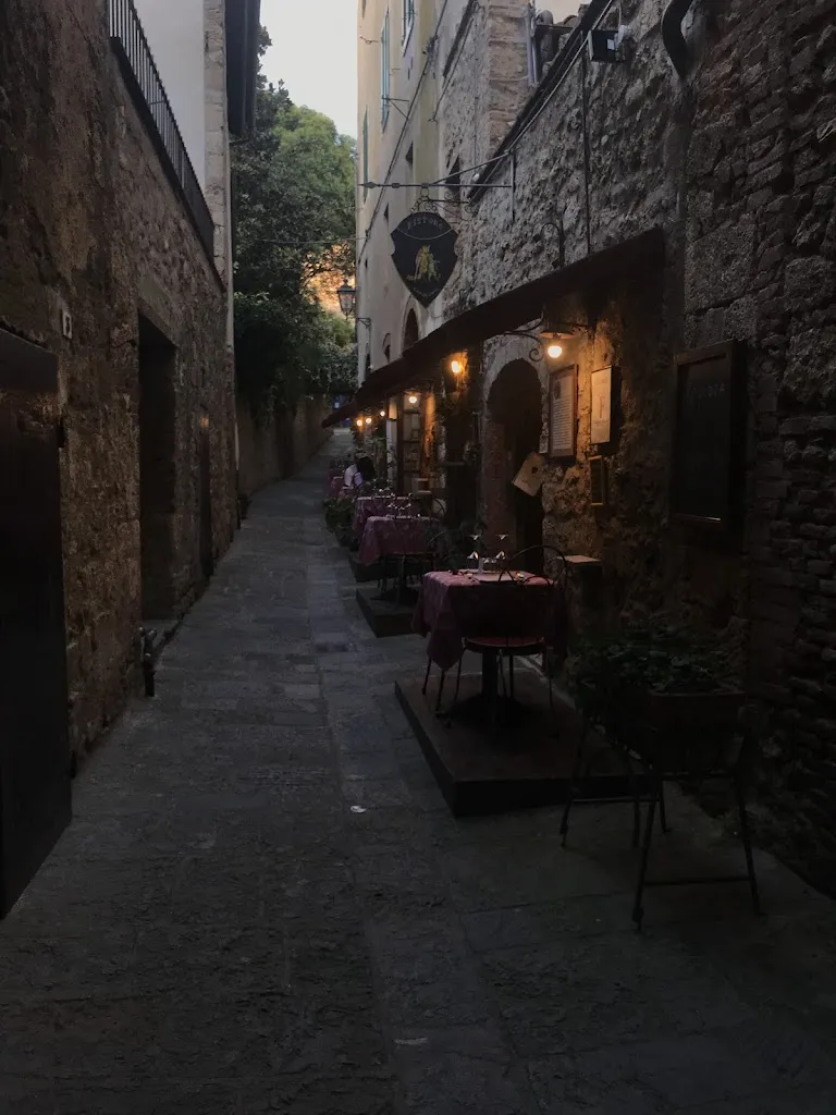 Carol Fanjul_Il Gatto e la Volpe_Massa Marittima_recensione