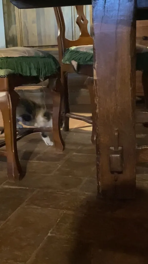 Danbo_Agriturismo Campo Ruffaldo_Massa Marittima_recensione