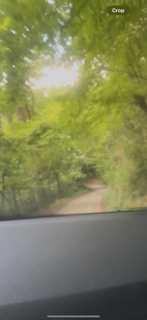 stella leroy_Osteria Montalbano_Montalbano_review