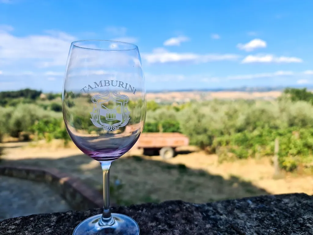 Peter van Steenis_I'Di...Vino_Montaione_review