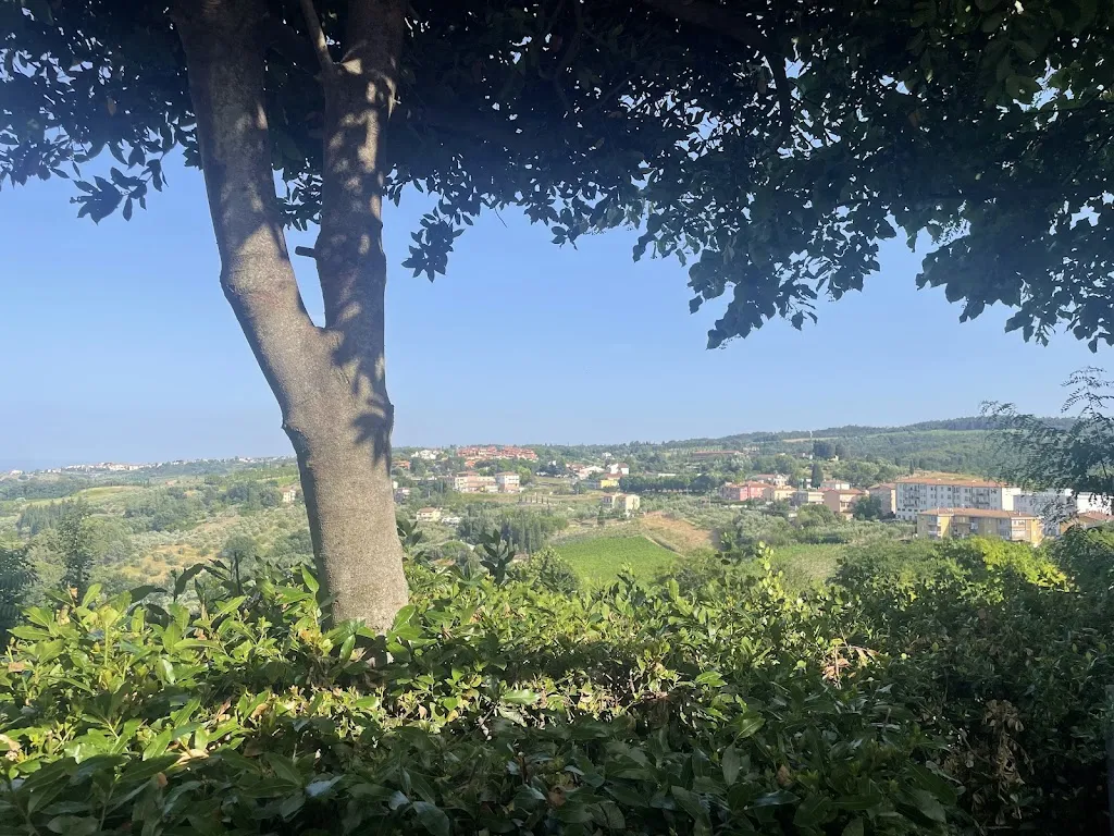 Margi patel_I'rifrullo Pizzeria Bar_Montaione_review