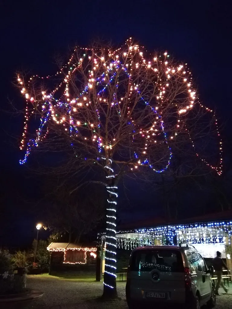 Parco Dei Mandorli_Montaione_slider_image_2