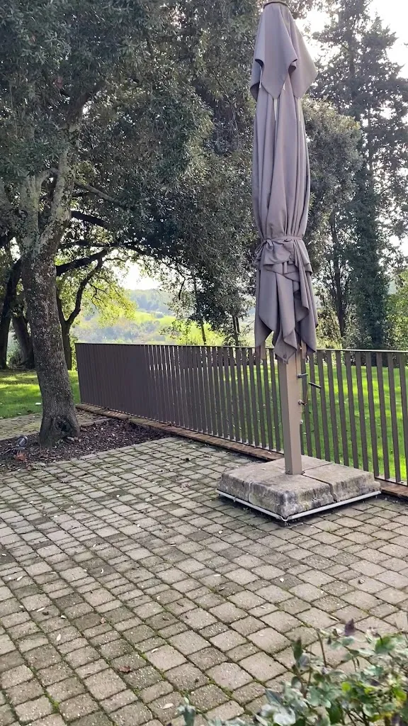 Franky Franky_Country Clubhouse_Montaione_review