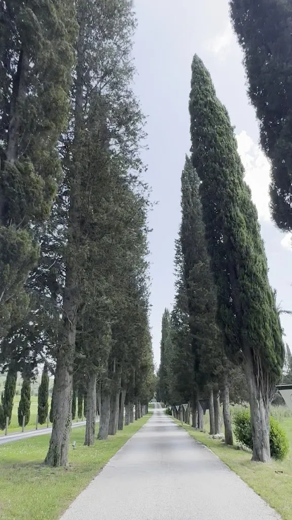 Luisa Di Bella_Country Clubhouse_Montaione_review