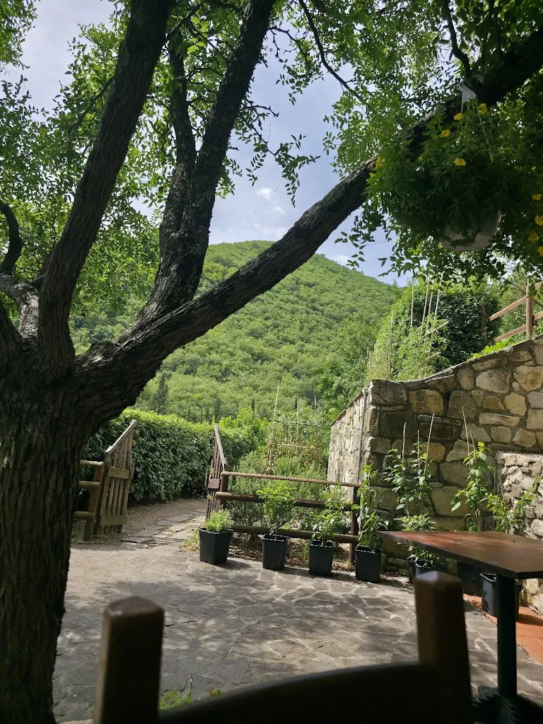 Marta Benedetti_Home Restaurant La Casa nel Bosco_Montebonello_recensione