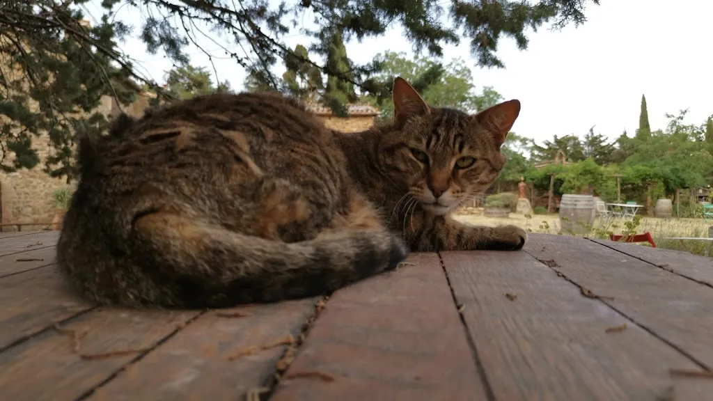 Jordan Nalpon_Agriturismo Il Cocco_Montalcino_review