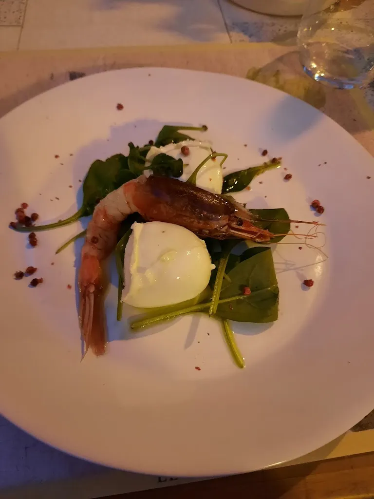 Daan Sybrandy_Ambra Nera_Montecalvoli_review