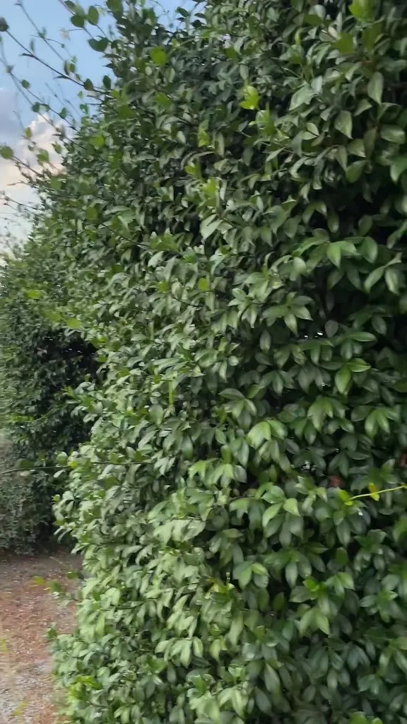 La Vivienda_Monte Argentario_slider_image_2