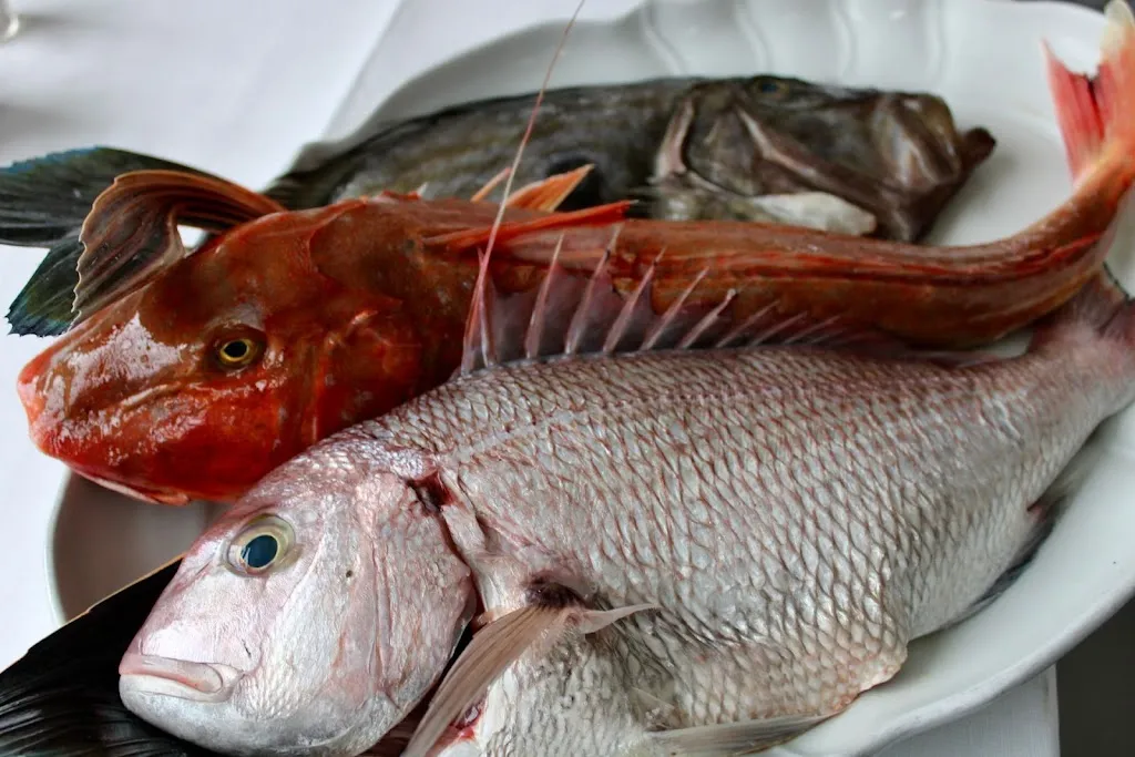 Il Veliero_Monte Argentario_slider_image_3