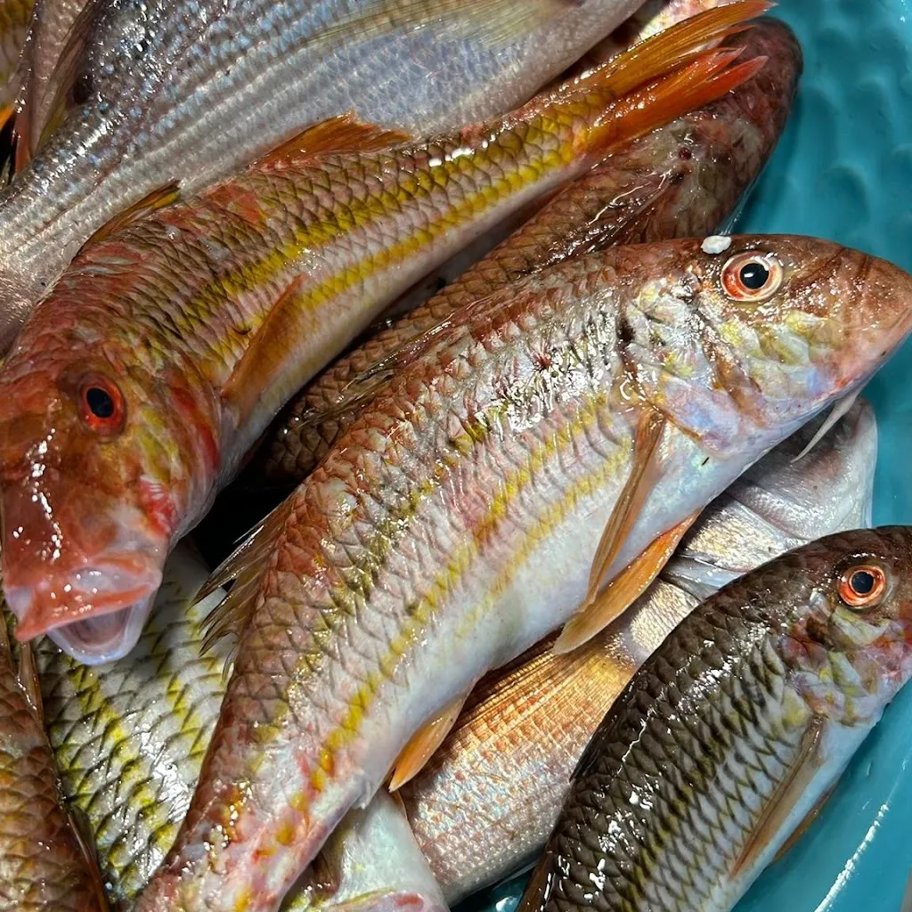 Menu_Pescheria Friggitoria Paví_Mola di Bari_image_5