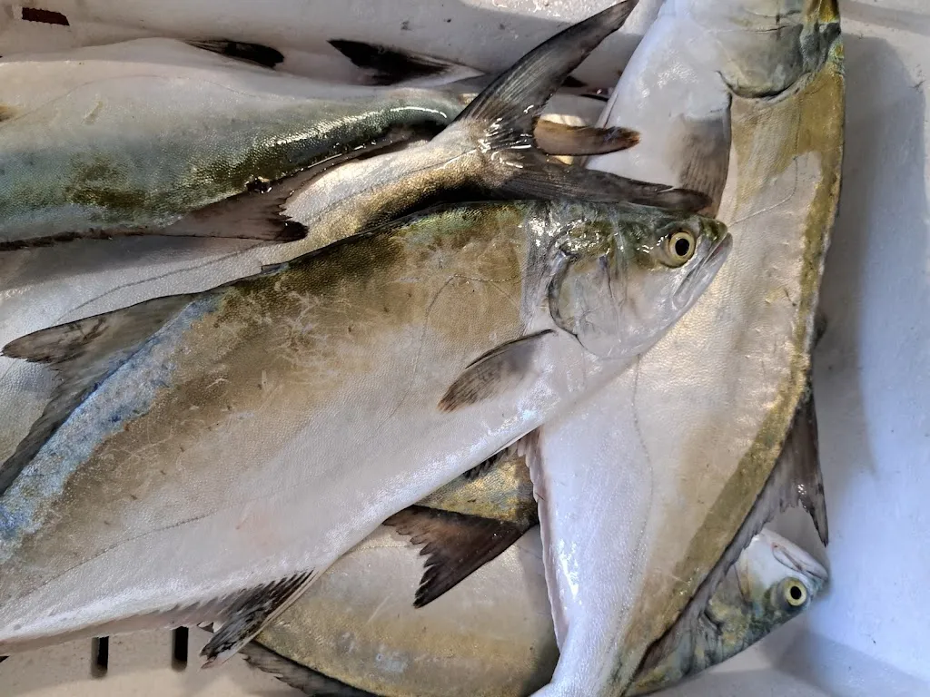 Menu_Pescheria Friggitoria Paví_Mola di Bari_image_6