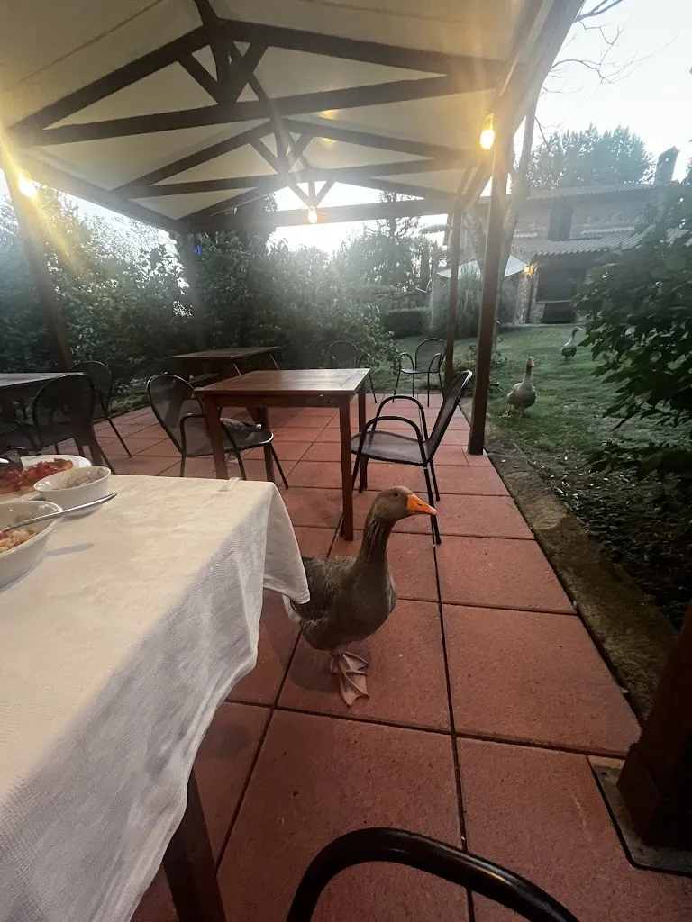 Feh_Agriturismo Podere Risecco_Monterotondo Marittimo_review