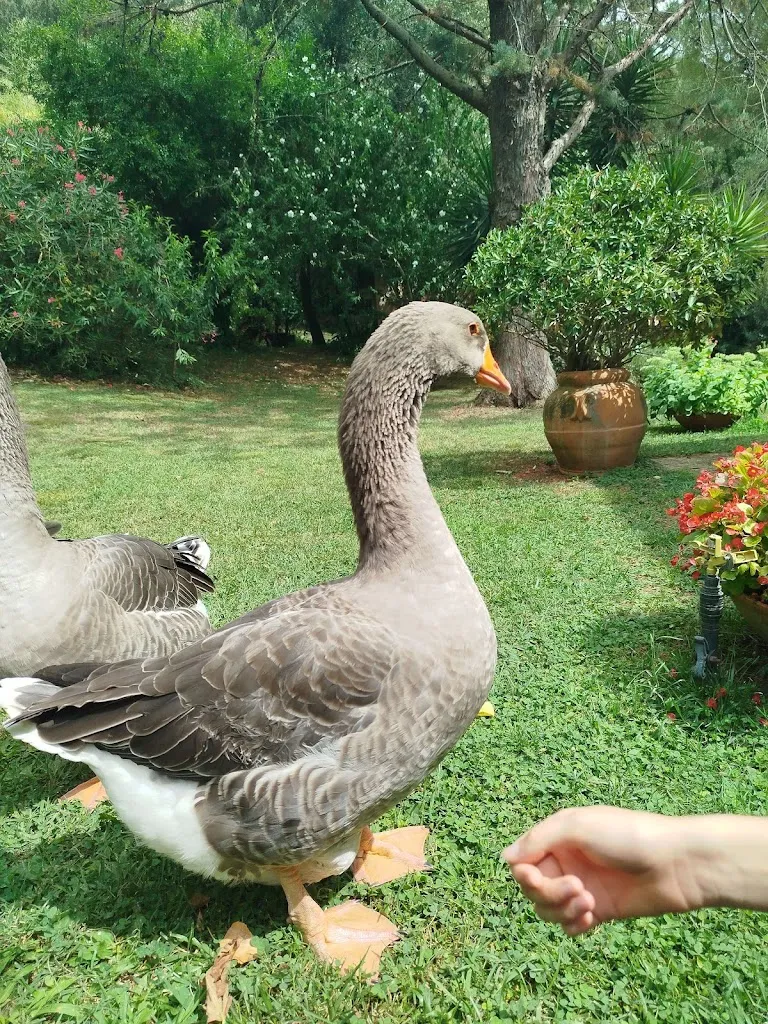 _Silgon__Agriturismo Podere Risecco_Monterotondo Marittimo_review