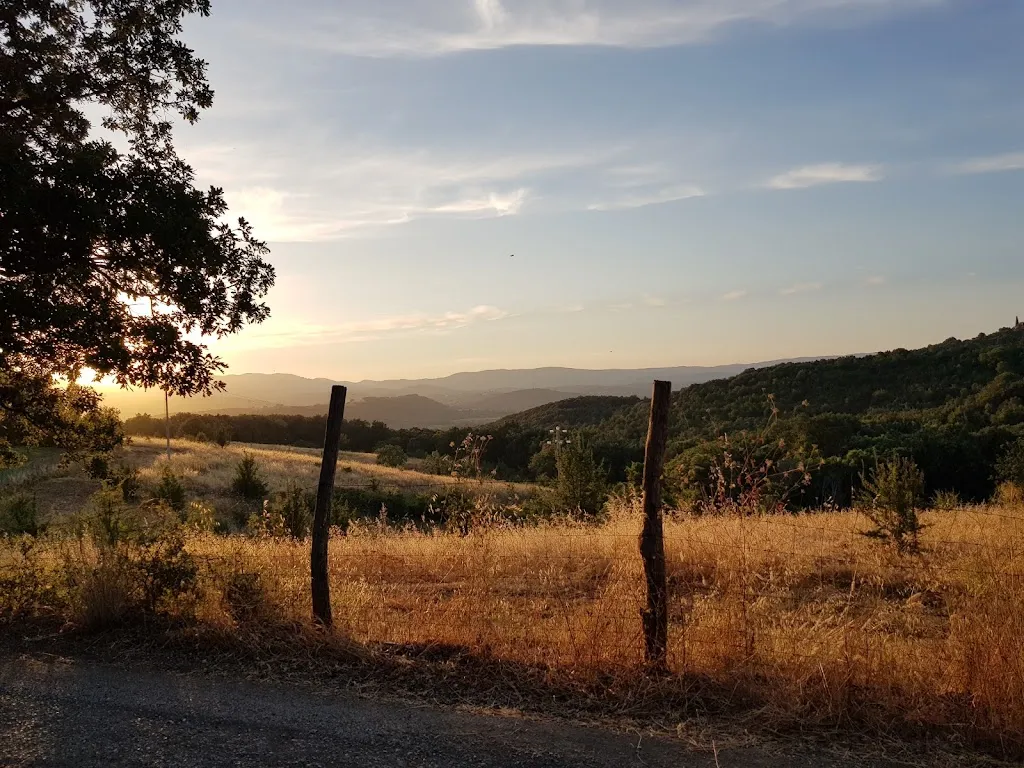 Emanuela Folco_Agriturismo Borgo Campetroso_Monterotondo Marittimo_recensione