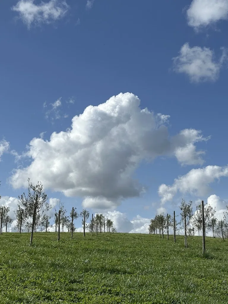 Lira Beqiri_Ristorante Agrituristico Il Ciliegio_Monteriggioni_review