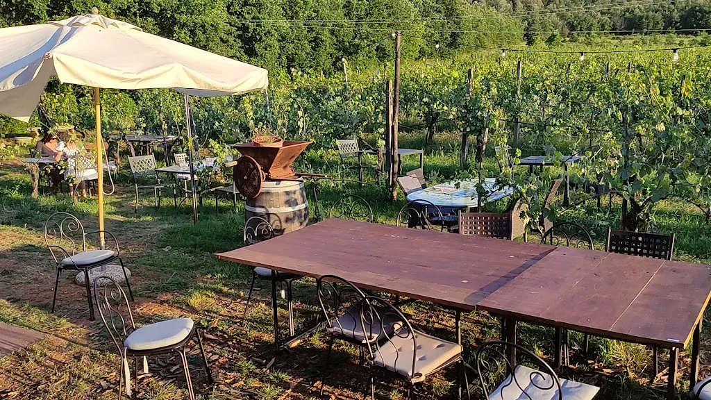 La dama nella vigna_Monteriggioni_slider_image_2