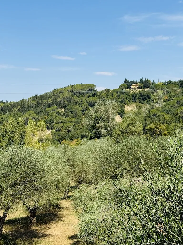 Jed Aylmer_La Lombricaia di Montalbino_Montespertoli_review