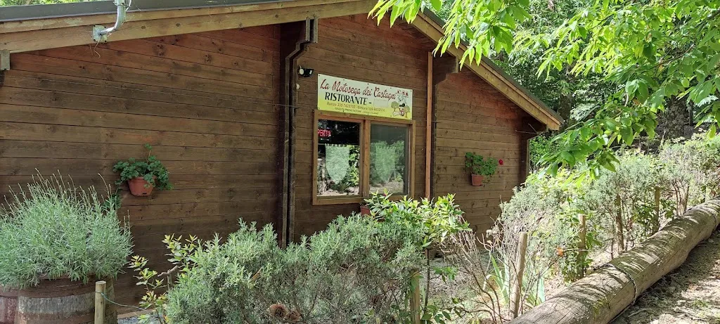 Ristorante La Motosega dei Castagni_Montieri_slider_image_1