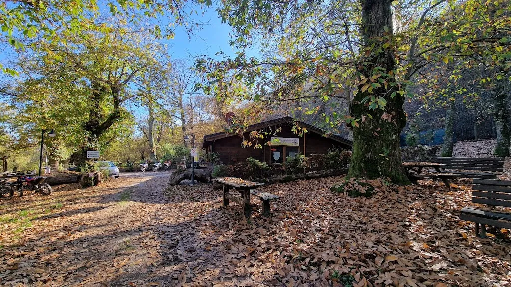 Ristorante La Motosega dei Castagni_Montieri_slider_image_3