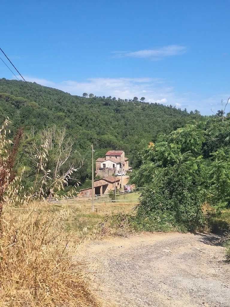 Thomas DR_Bosco Della Spina_Murlo_review