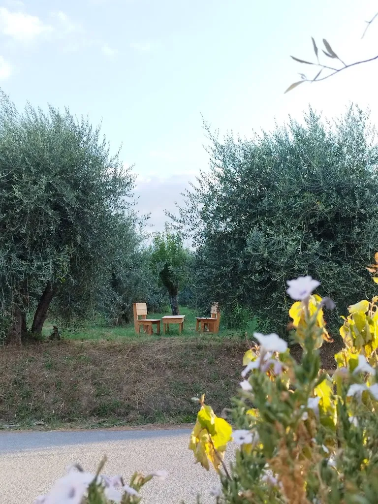 Arianna Francesconi_Osteria di Rendola_Montevarchi_review