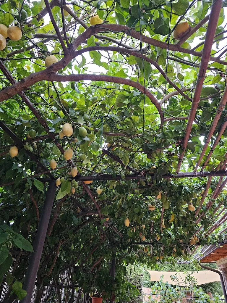 Ale 2021_Trattoria Sei Ponti_Montignoso_review