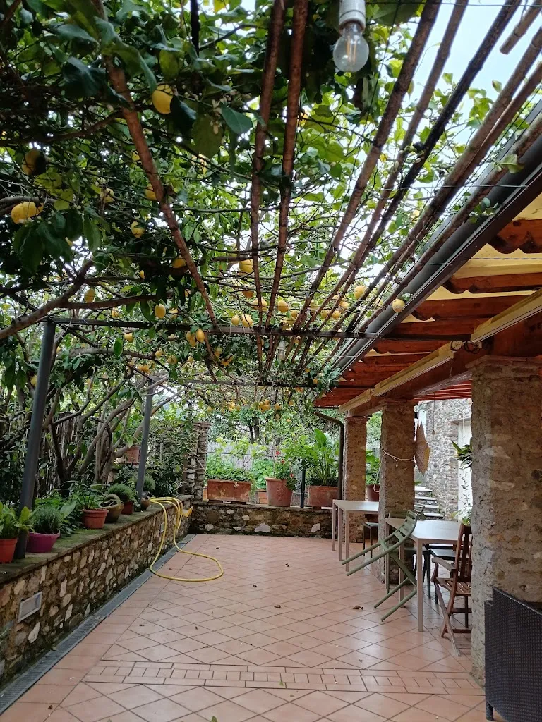 Trattoria Sei Ponti_Montignoso_slider_image_3