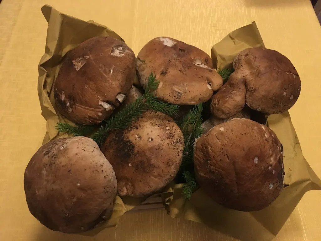 Ristorante Il Pettirosso_Palaia_slider_image_2