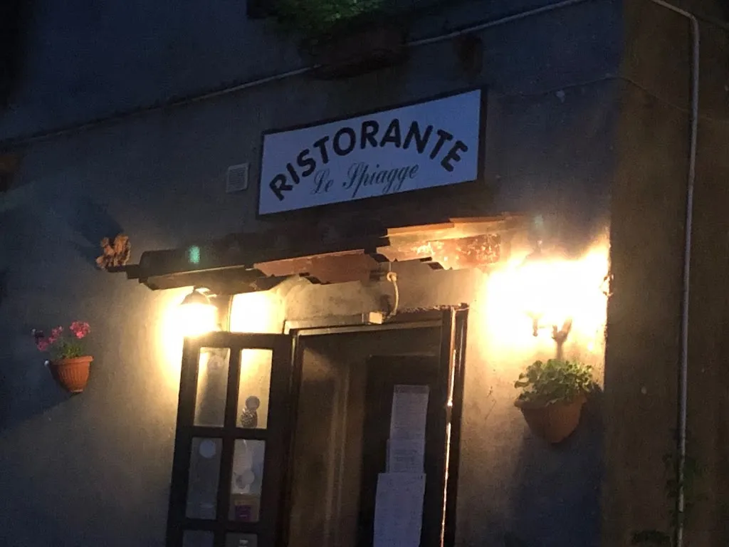 Giuseppe D'Elia_Le Spiagge Di Tamara_Palazzuolo sul Senio_review