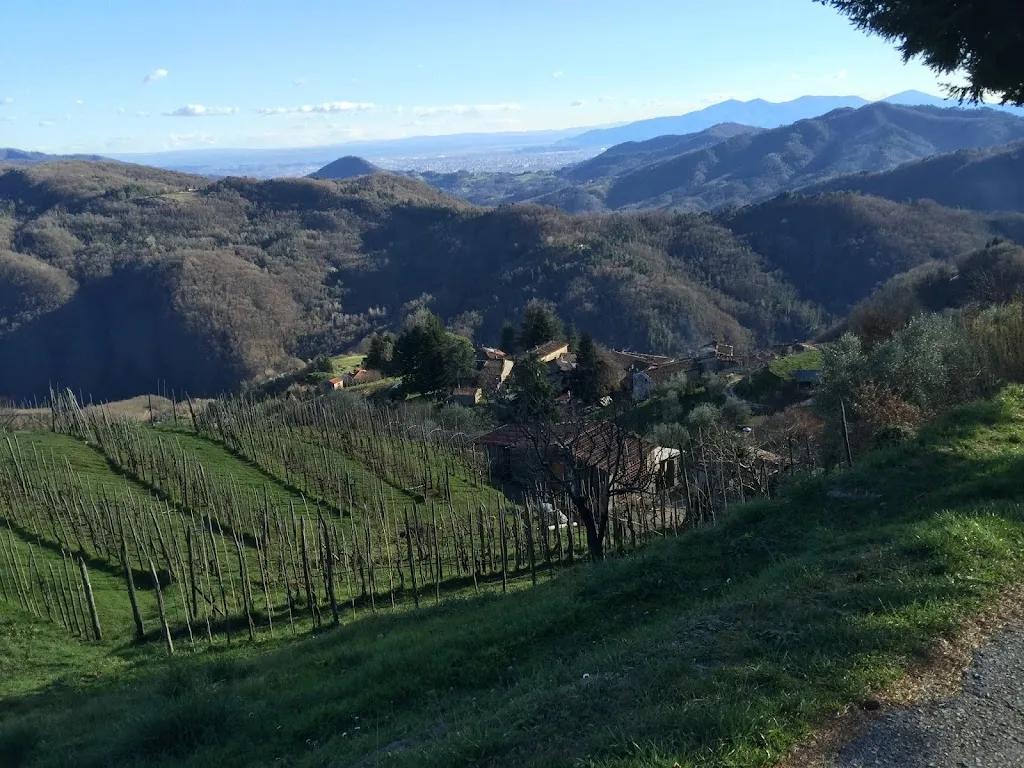 Ristorante Puccini e Bed & Breakfast_Pescaglia_slider_image_3