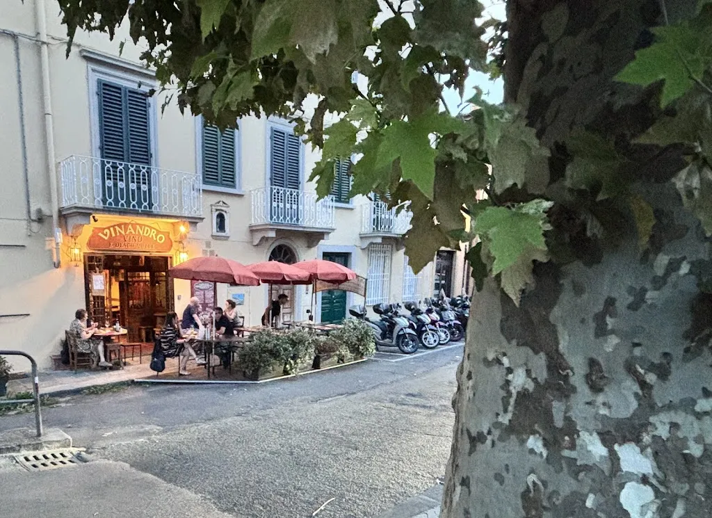 Ana-Maria Dobra_Vinandro Vino e Desco Molle_Pian di Mugnone_review