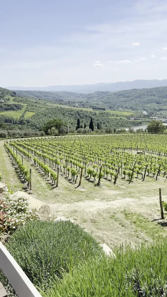 Enoteca Il Quartino di Marchesi Frescobaldi_Pelago_slider_image_2