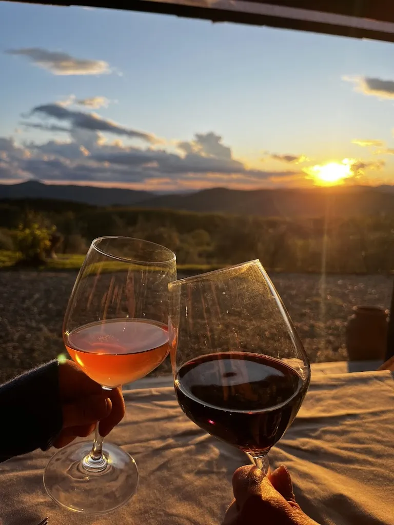 Kim Mertens_Tenuta Risalpiano - Agriturismo e Ristorante_Pelago_review