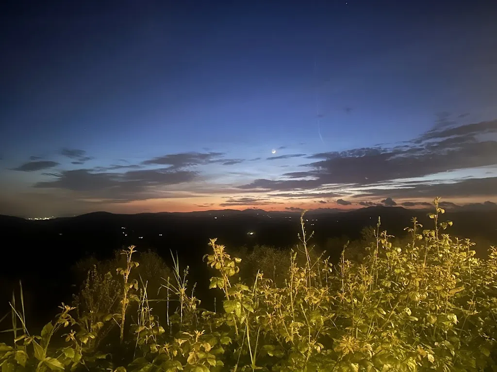 Mackenzie Huber_Tenuta Risalpiano - Agriturismo e Ristorante_Pelago_review