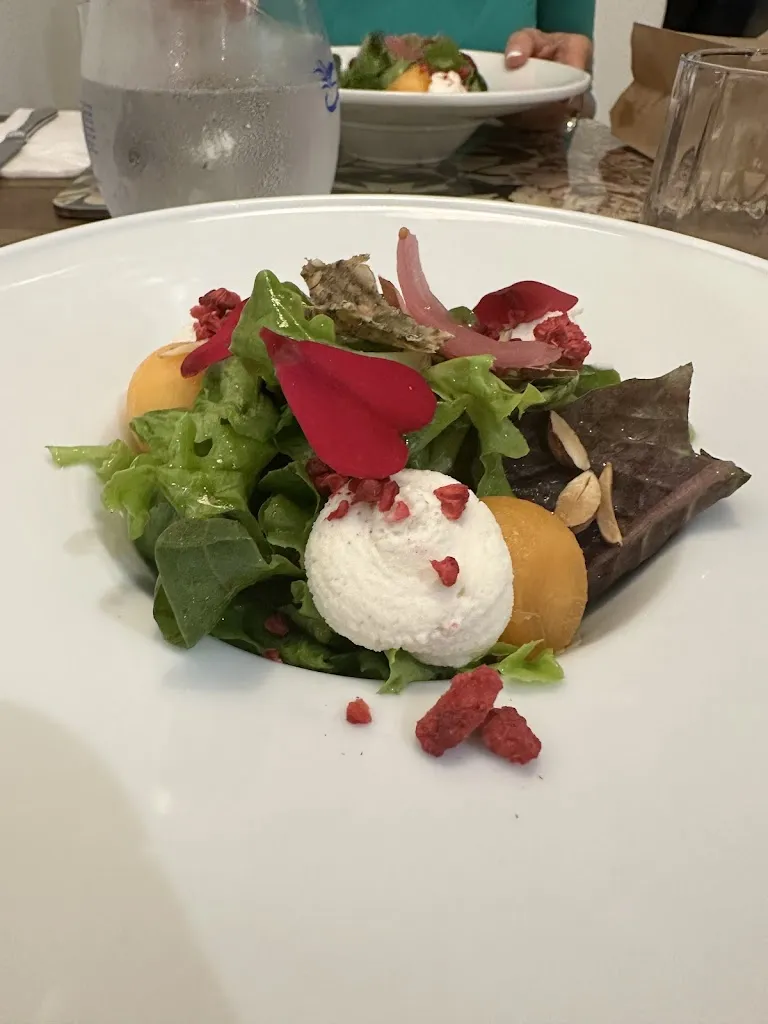 Costanza Volpini_Sementis_Pietrasanta_review