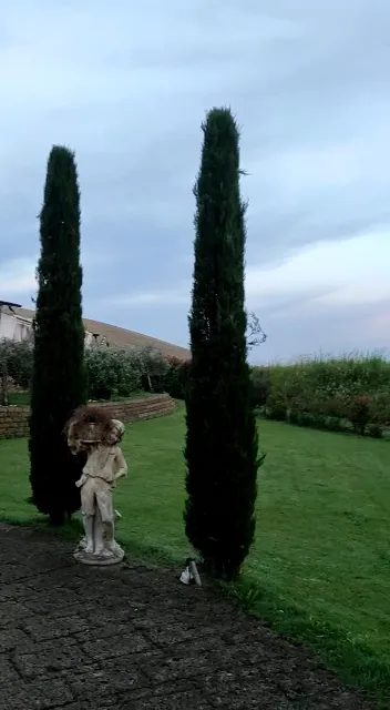 Ristorante L'antico Molino_Peccioli_slider_image_2