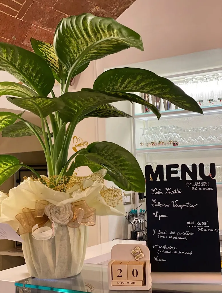 Menu_Casiero By Bar La Gattona_Peccioli_immagine_3