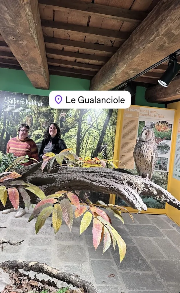 Licia Baldini_Le Gualanciole_Pieve Santo Stefano_review