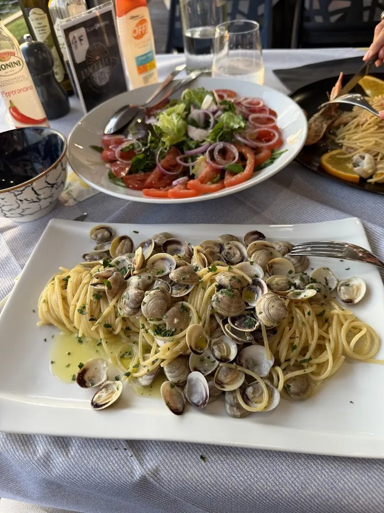 Harald Gerd_Pathos_Piombino_review